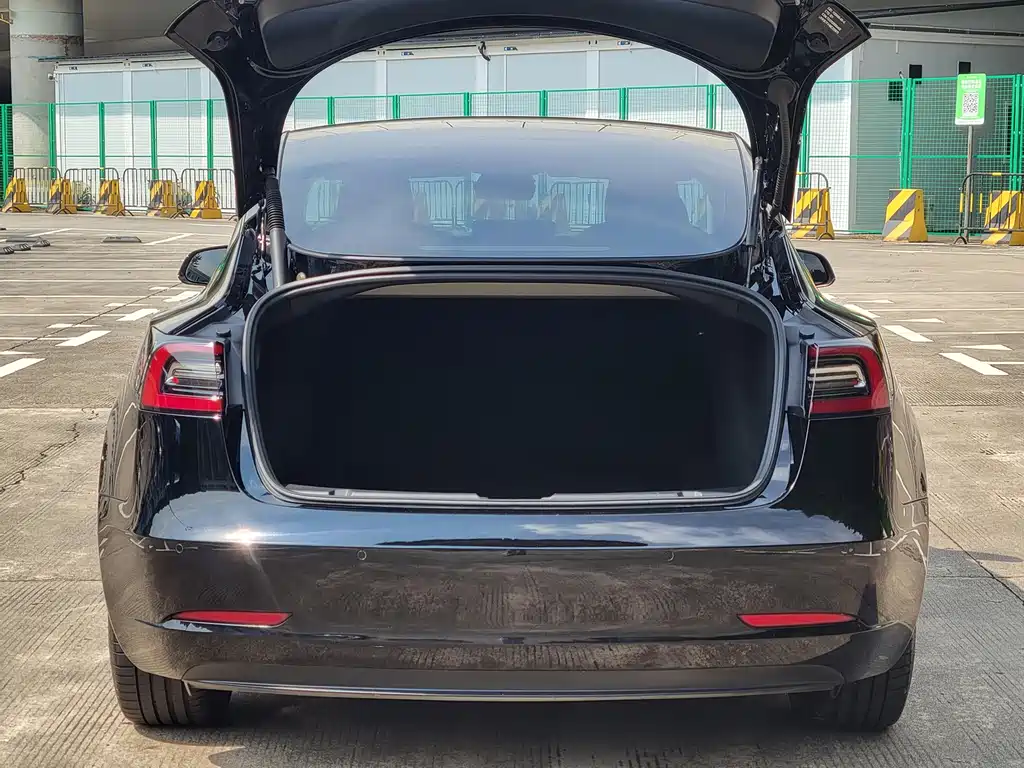 Tesla Model 3 — миниатюра 14