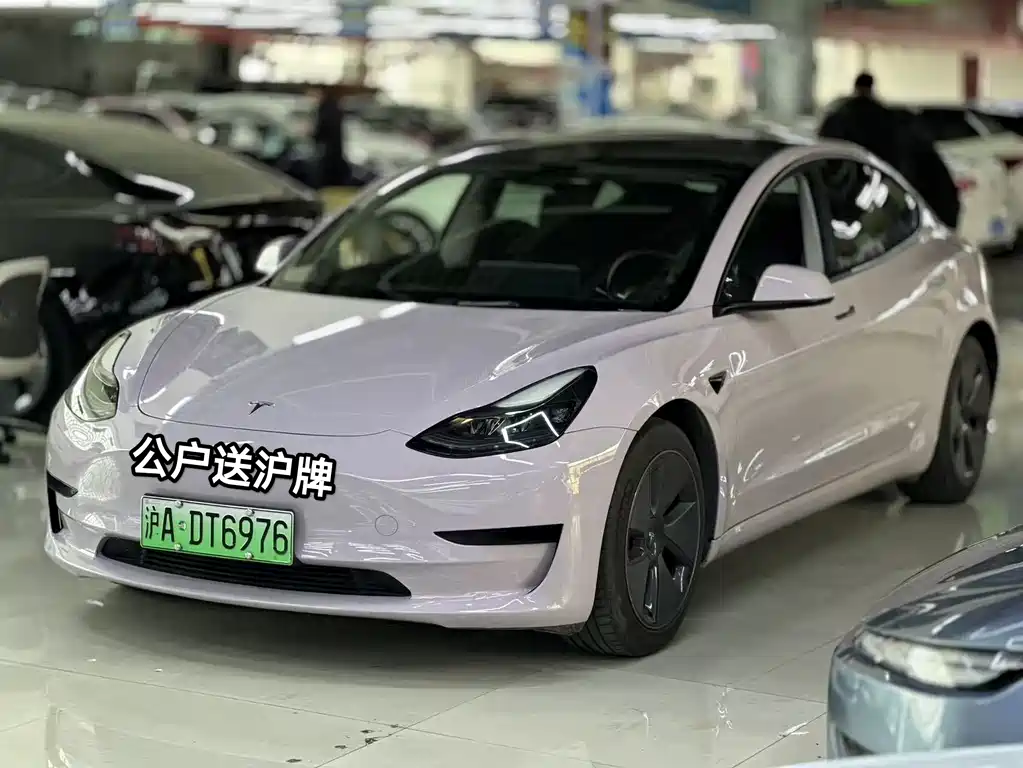 Tesla Model 3 2021