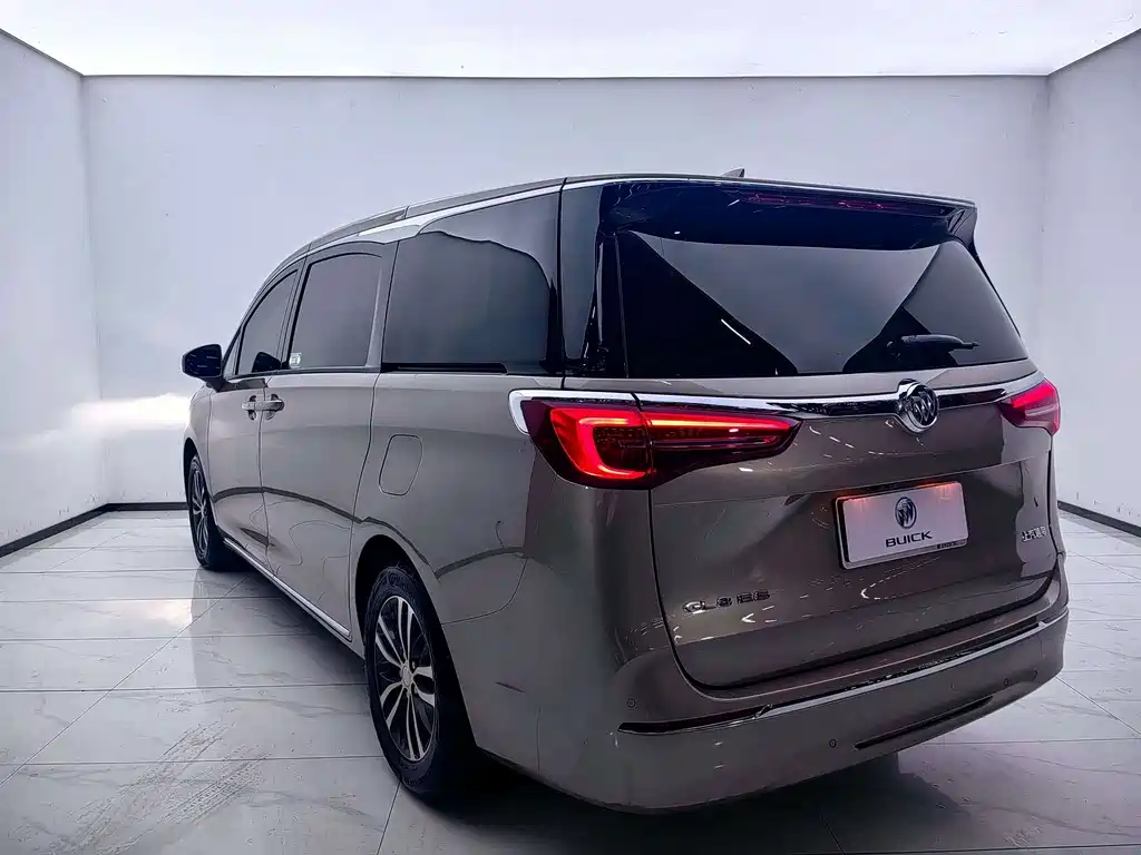 Buick GL8 — миниатюра 20