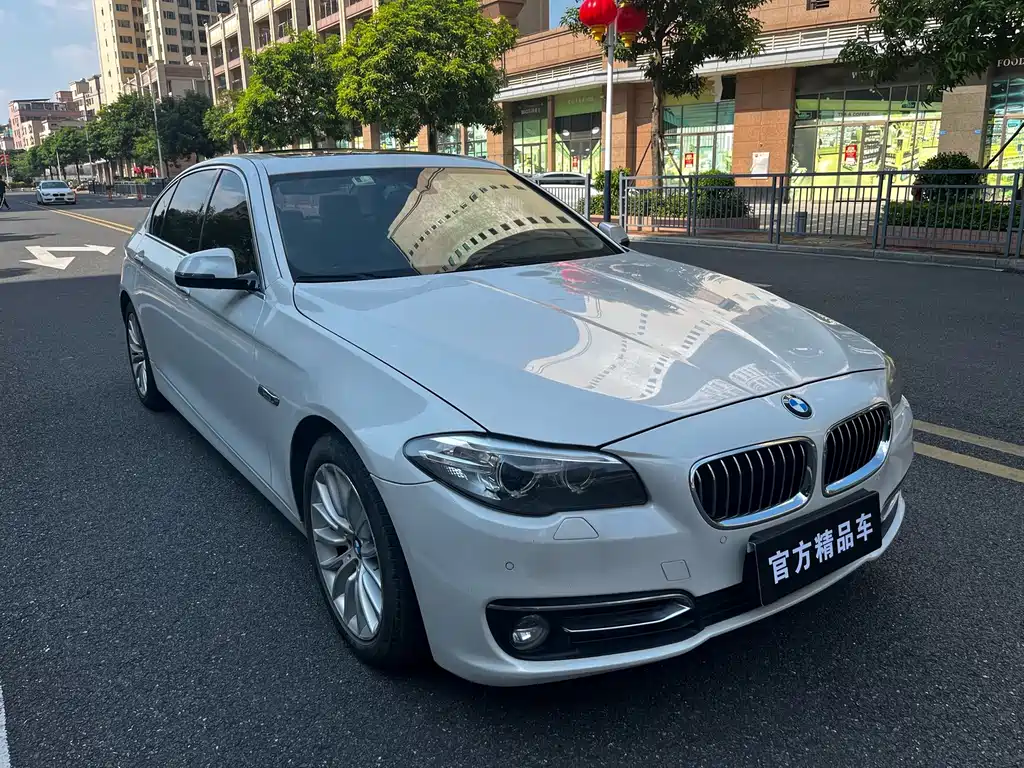 BMW 5 Series — миниатюра 3