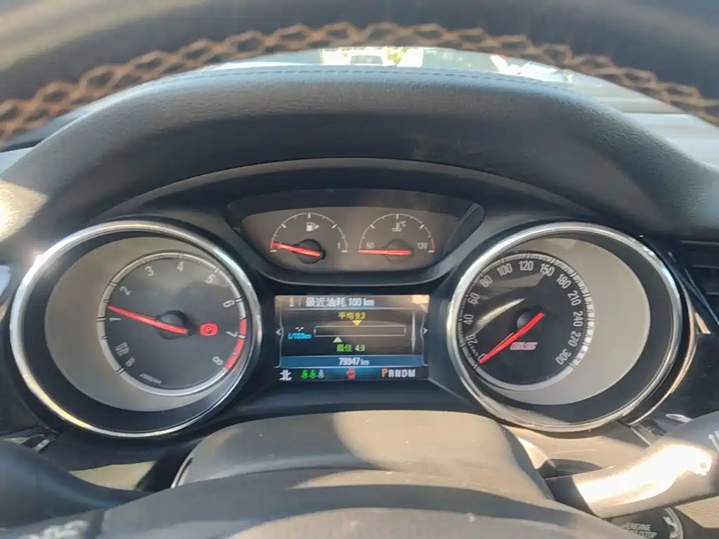 Buick Regal — миниатюра 12