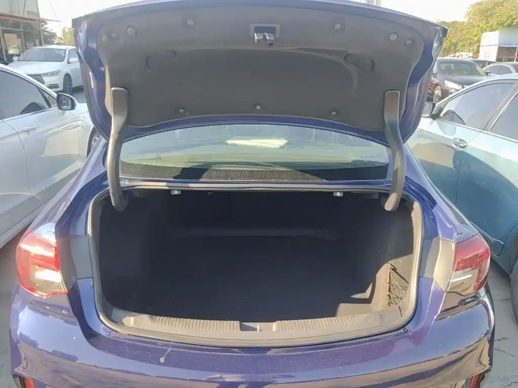 Buick Regal — миниатюра 19