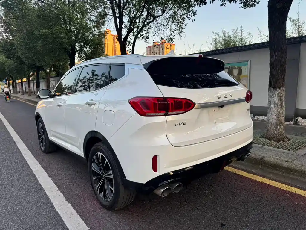 Wey Wey VV6 — миниатюра 7
