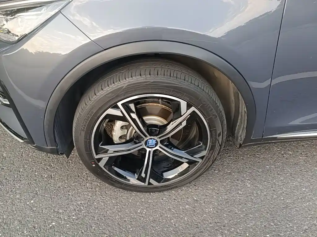 BYD Tang New Energy — миниатюра 23
