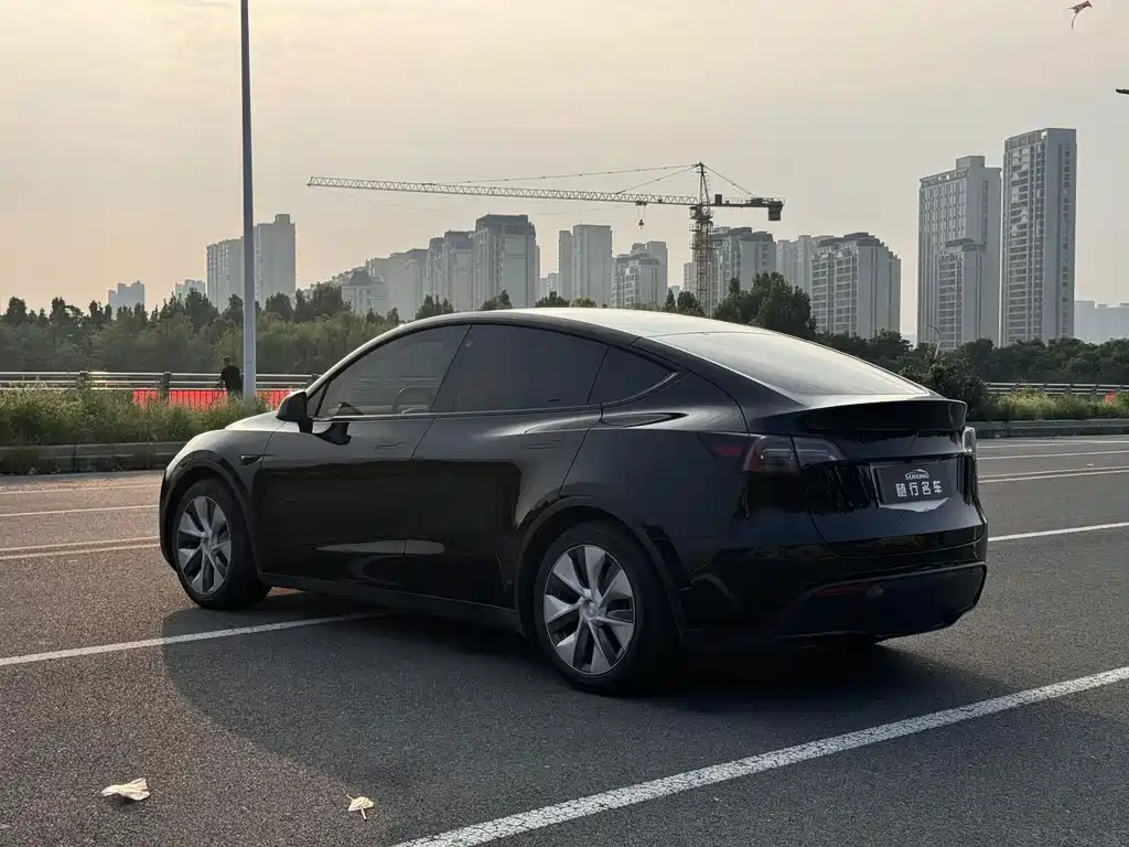 Tesla Model Y — миниатюра 21