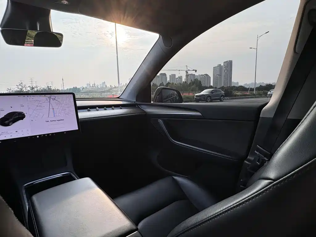 Tesla Model Y — миниатюра 10