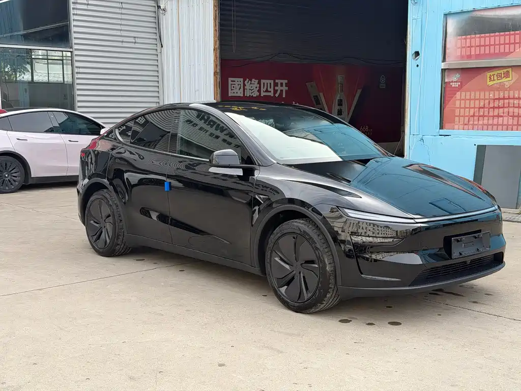 Tesla Model Y — миниатюра 3