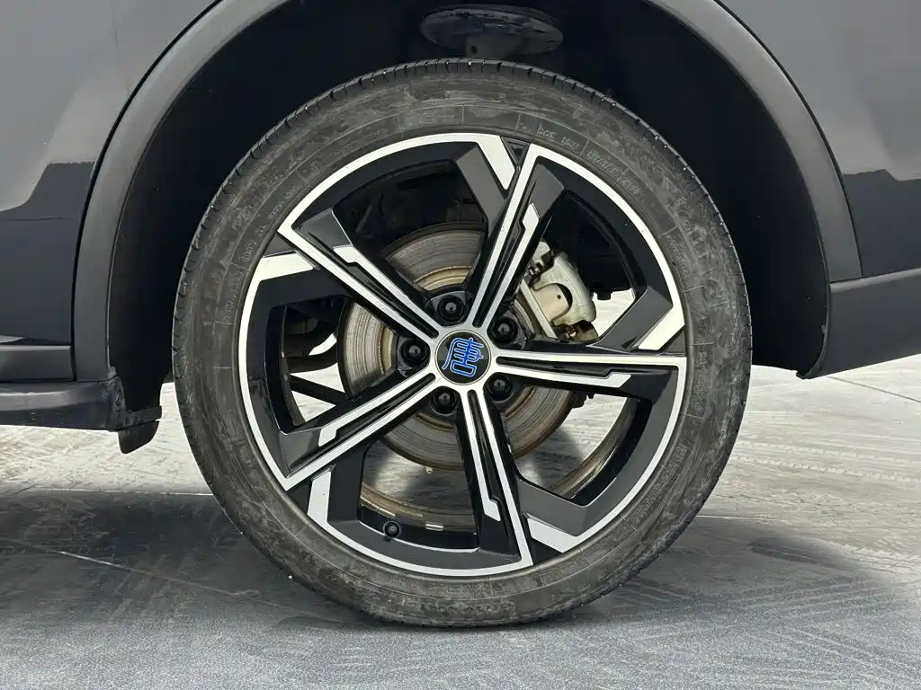 BYD Tang New Energy — миниатюра 30