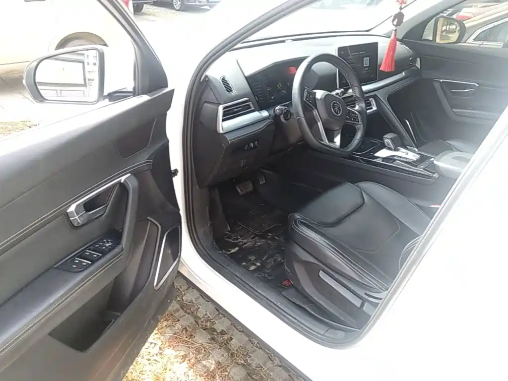 BYD Pro — миниатюра 16