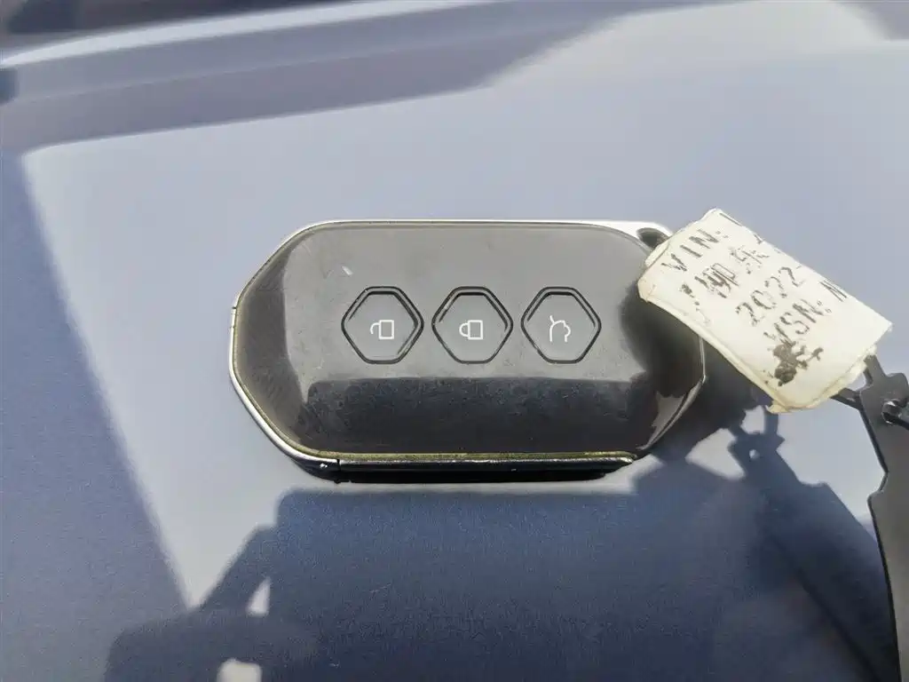 WULING WULING CAPGEMINI