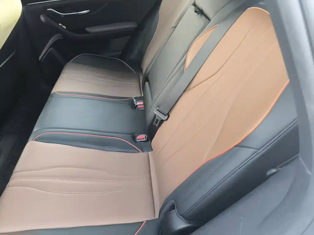 BYD PLUS — миниатюра 13