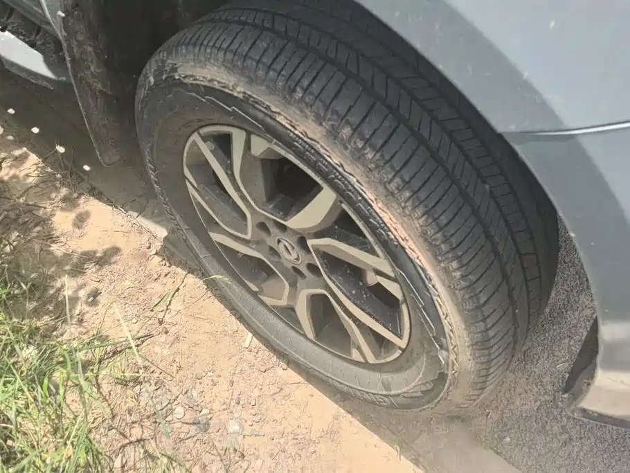 Dongfeng Rich 7 — миниатюра 6