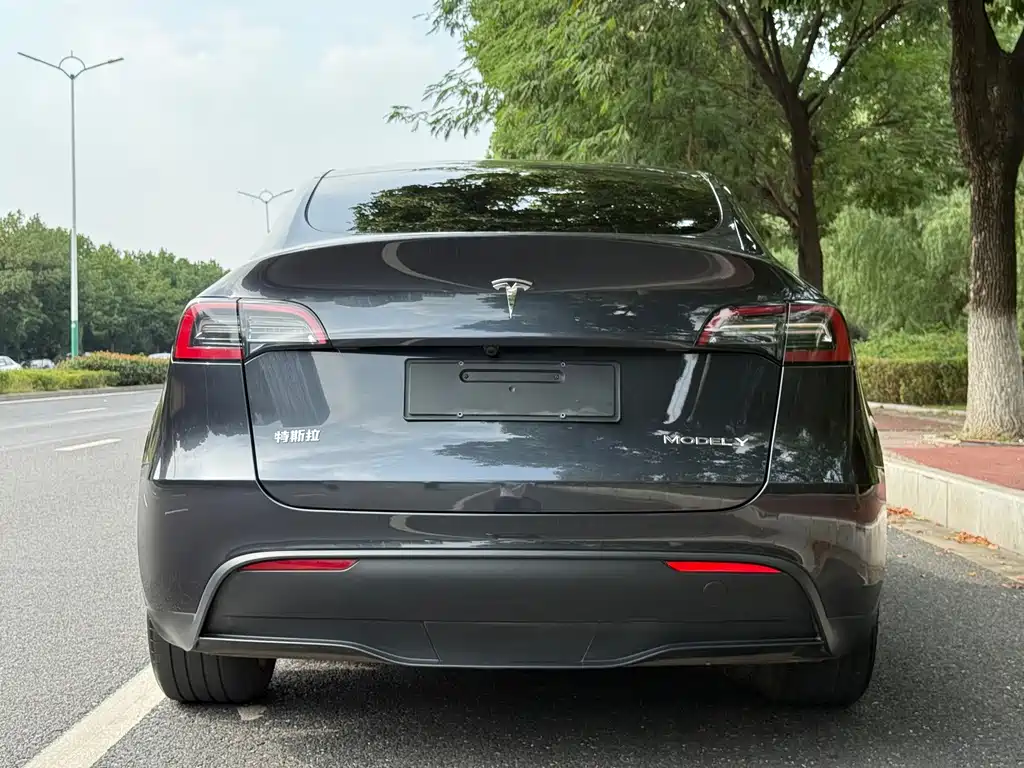 Tesla Model Y — миниатюра 4