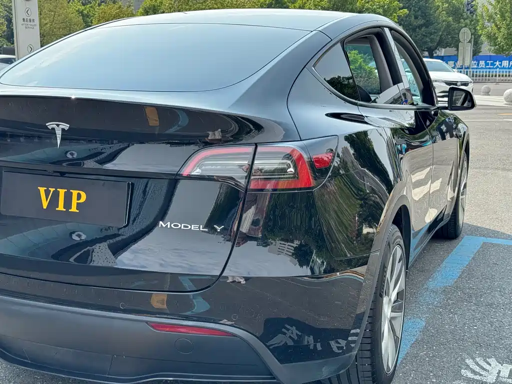 Tesla Model Y — миниатюра 13