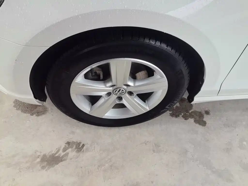 Volkswagen Lamando — миниатюра 23