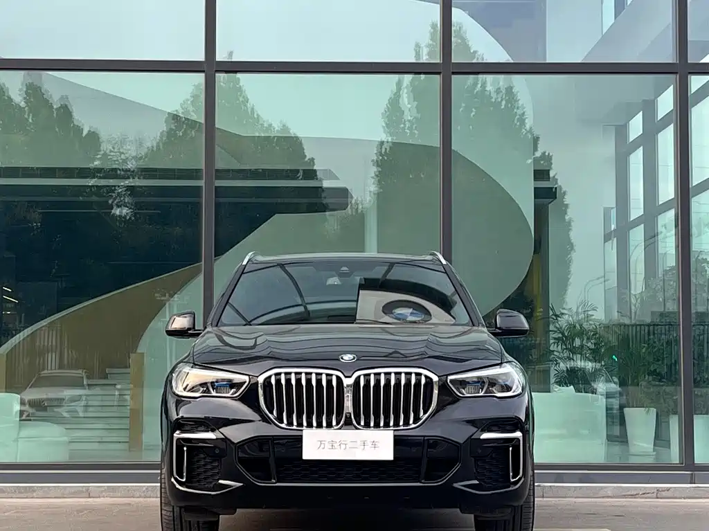 BMW X5 — миниатюра 2