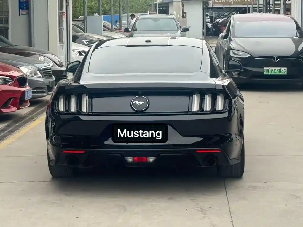 Ford Mustang — миниатюра 6