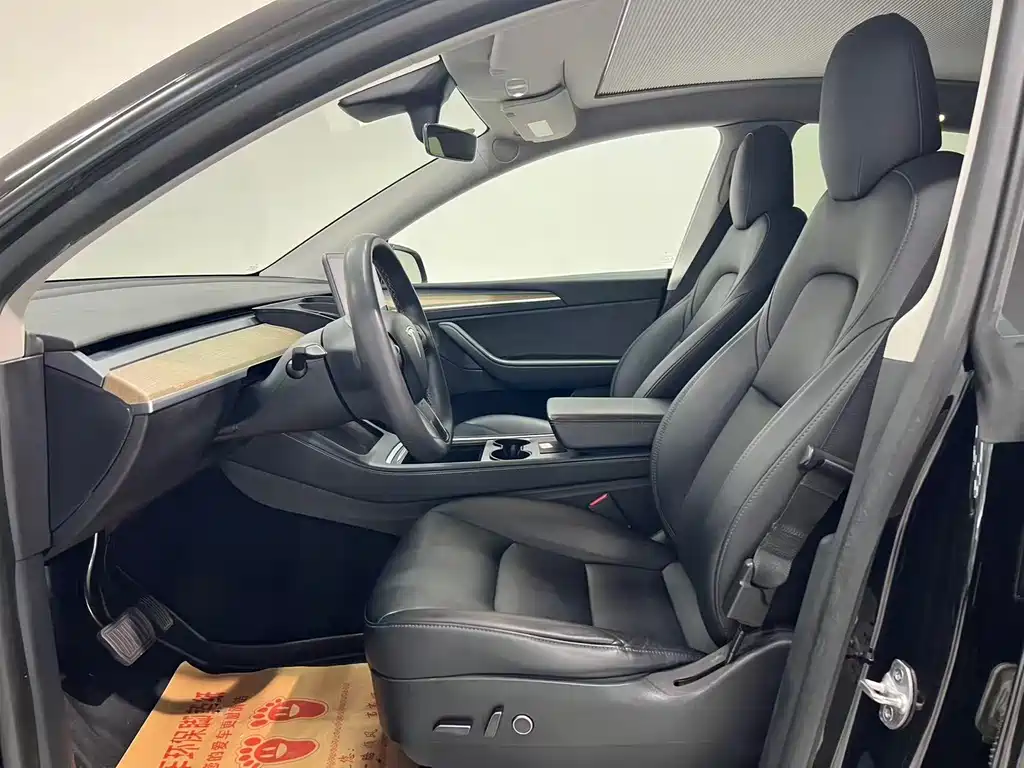 Tesla Model Y — миниатюра 3