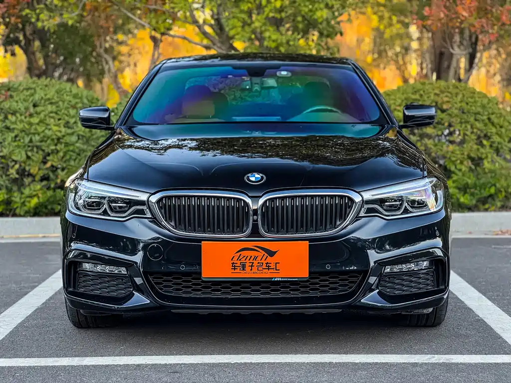 BMW 5 Series 5 2018 530Li Premium M Sport