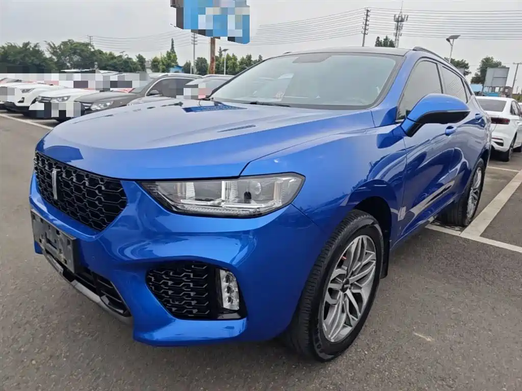 Купить Wey Wey VV5