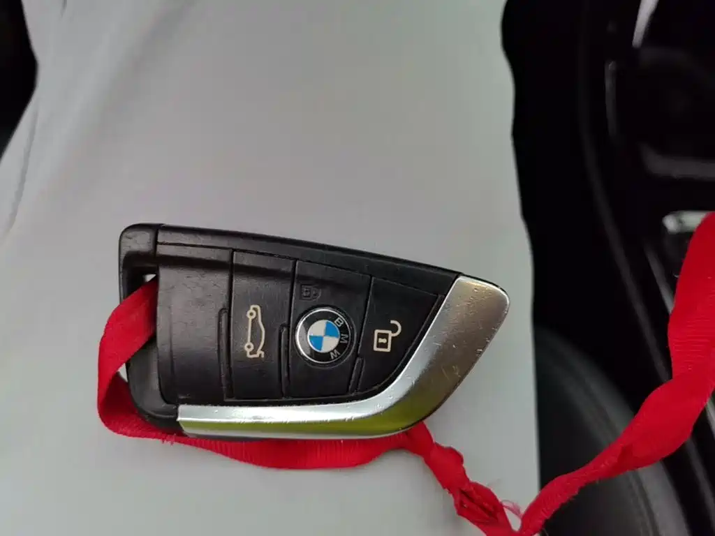 BMW X1 — миниатюра 9