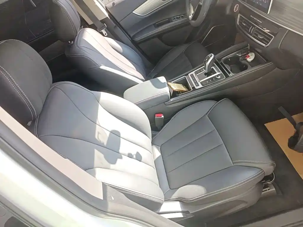 BYD MAX New Energy — миниатюра 25