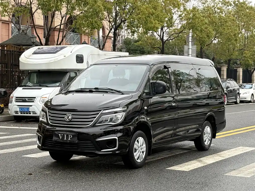 Fengxing Lingzhi 2020