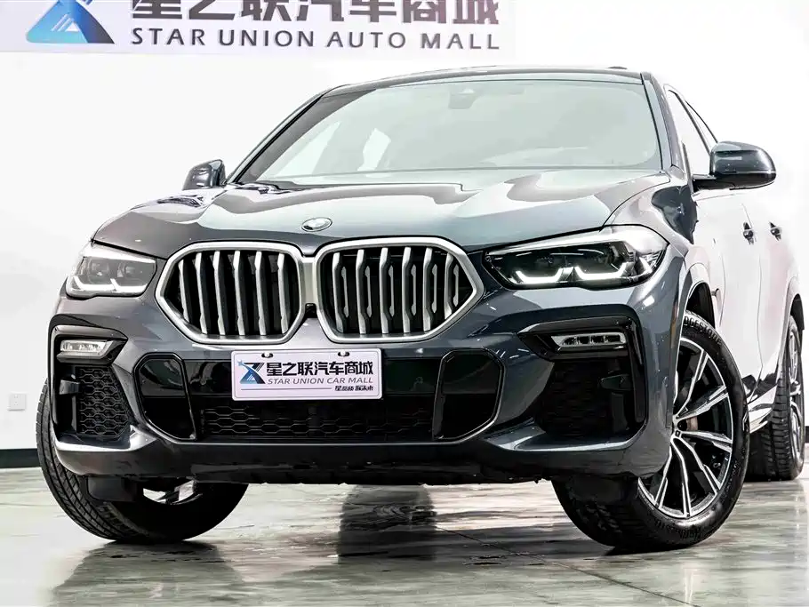 BMW X6 2021 xDrive30i M Sport