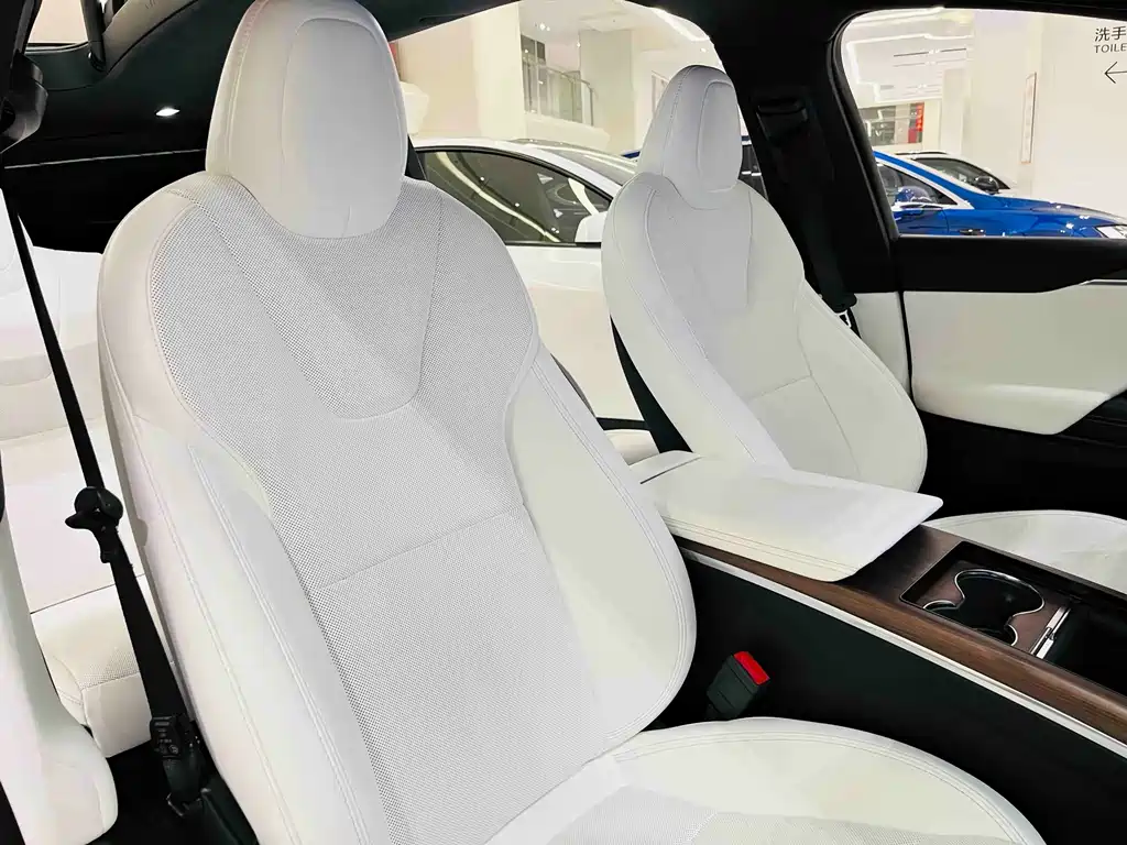 Tesla Model X — миниатюра 11