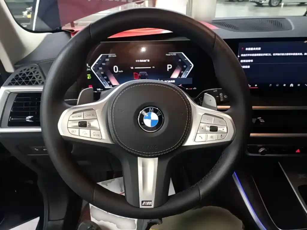 BMW X5 — миниатюра 11
