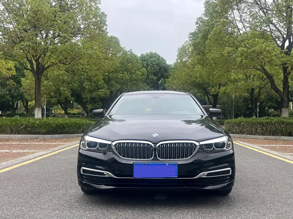 BMW 5 Series 5 2020 525Li Luxury
