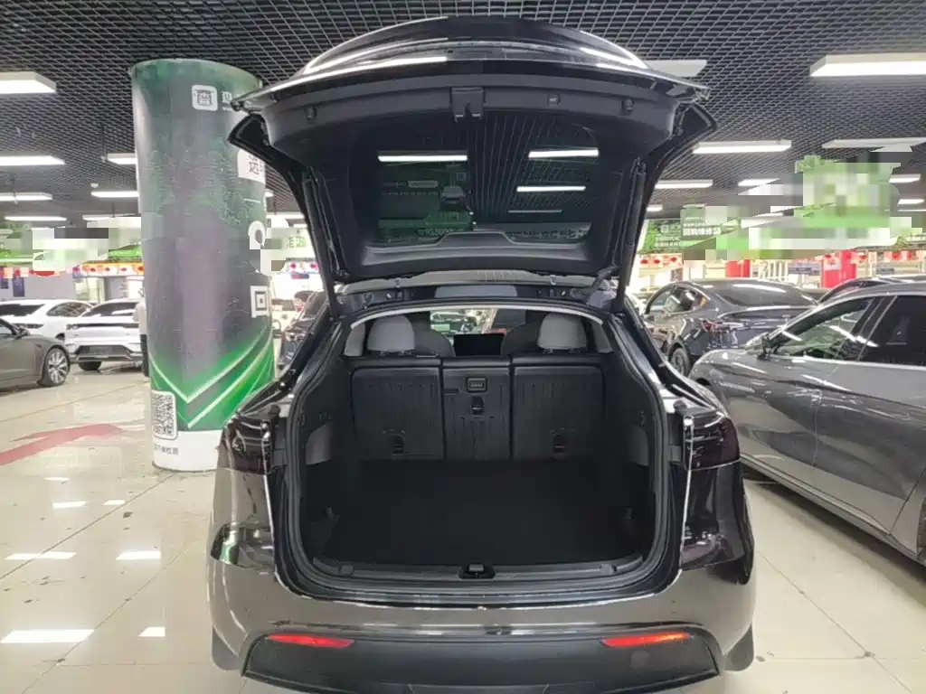 Tesla Model Y — миниатюра 19