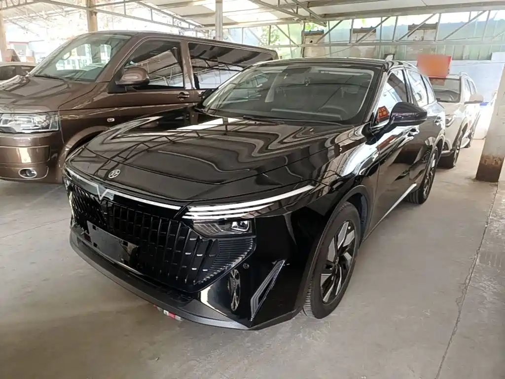 Venucia Big V DD-i
