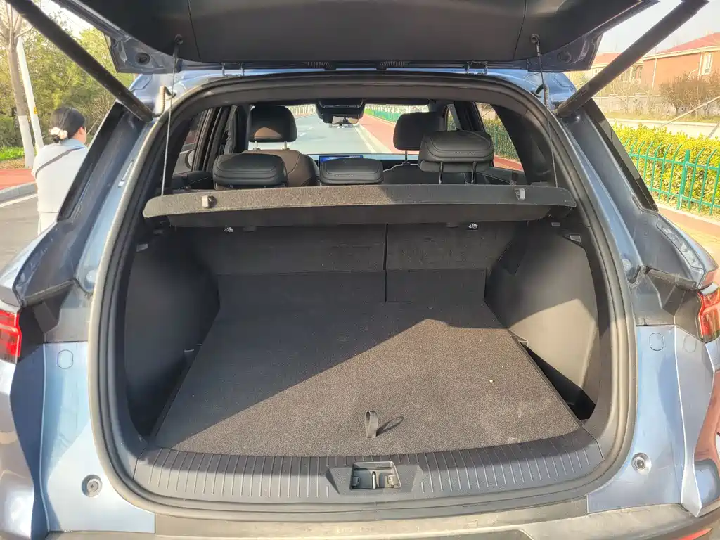 BYD SONGJIANG NEW ENERGY