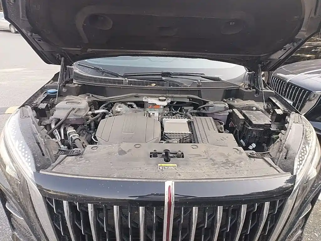Hongqi Hongqi HS3 PHEV — миниатюра 20
