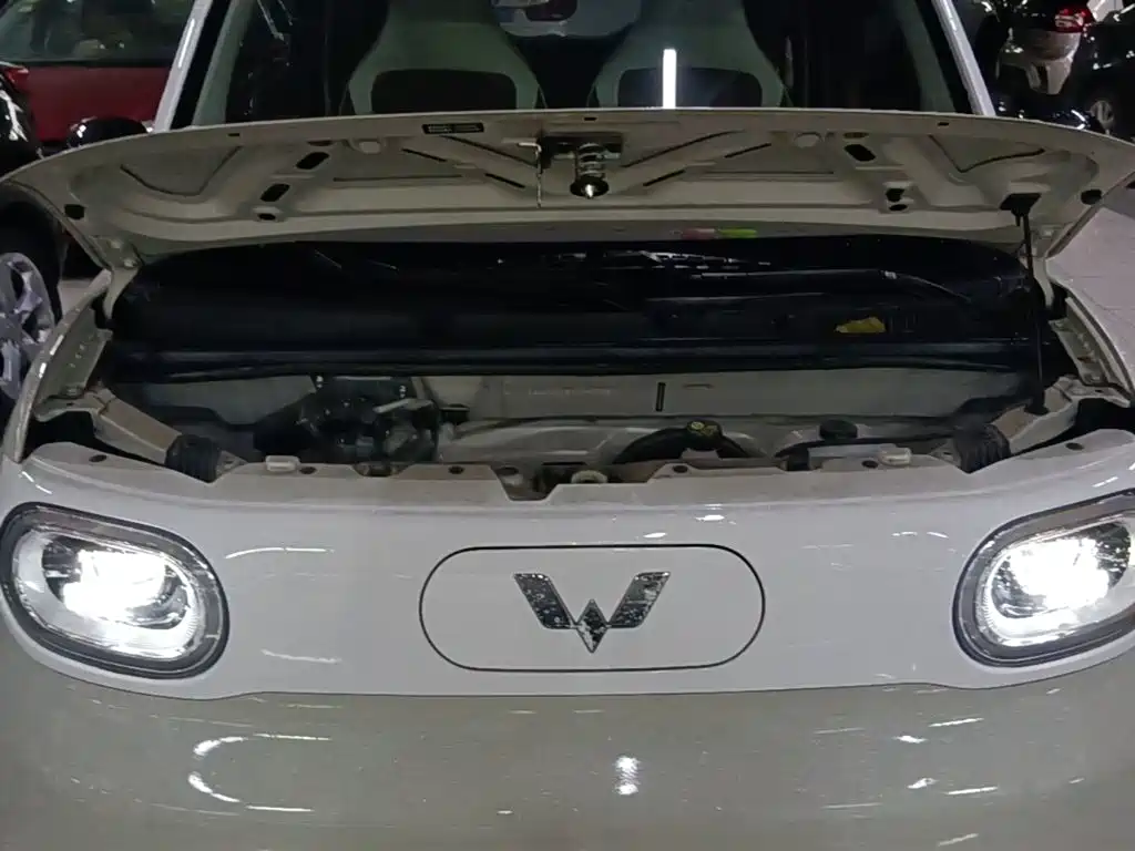 Wuling MINIEV — миниатюра 20