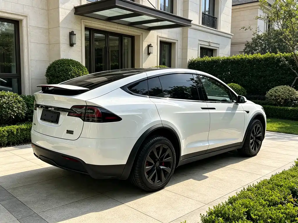 Tesla Model X — миниатюра 3