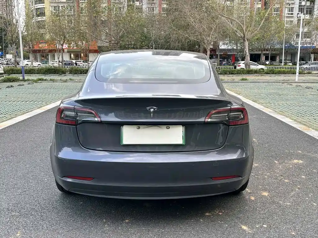Tesla Model 3 — миниатюра 8