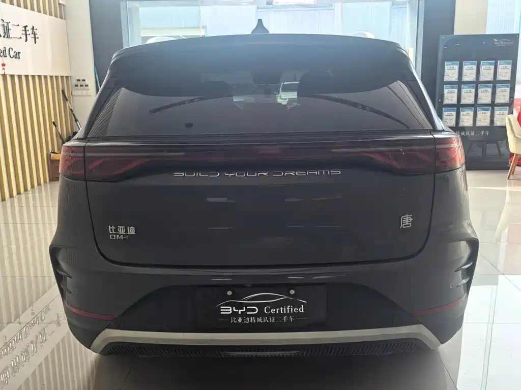 BYD Tang New Energy — миниатюра 11