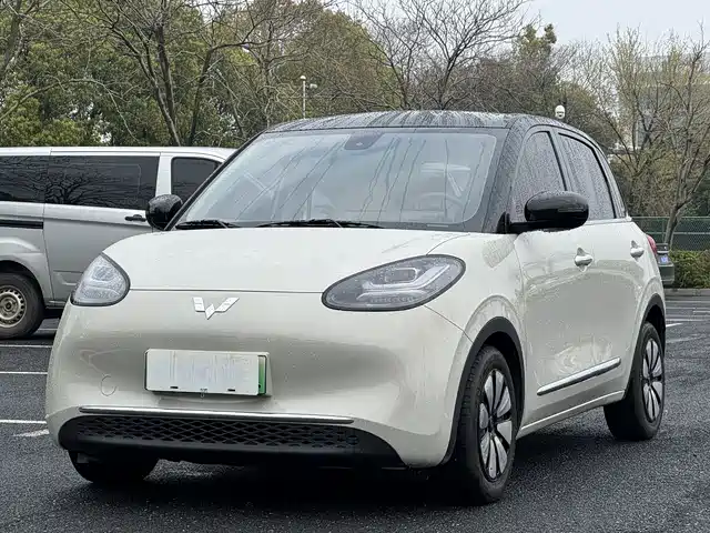 WULING WULING BINGGUO 2023