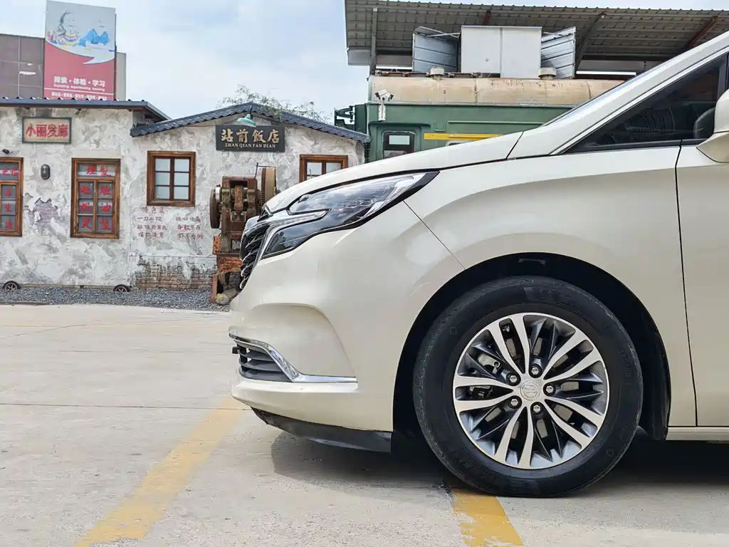 Buick GL8 — миниатюра 17