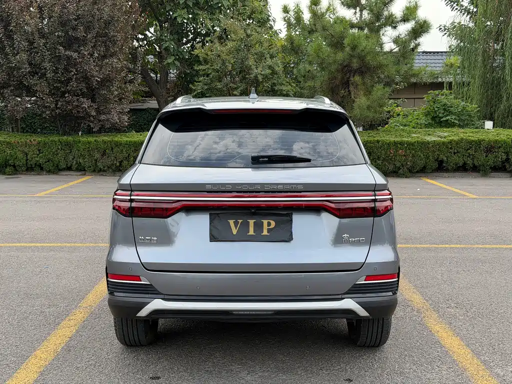 BYD Pro — миниатюра 4