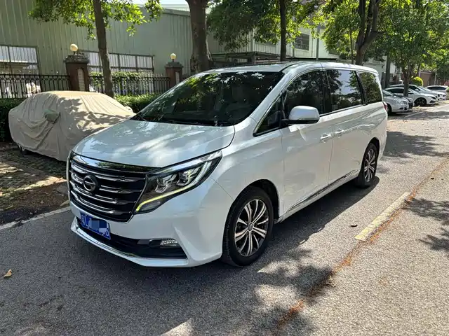2019 GAC GN8