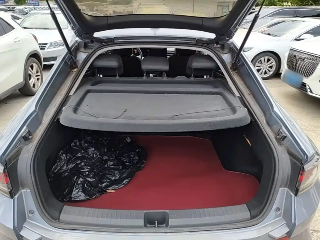 Volkswagen Lamando — миниатюра 19
