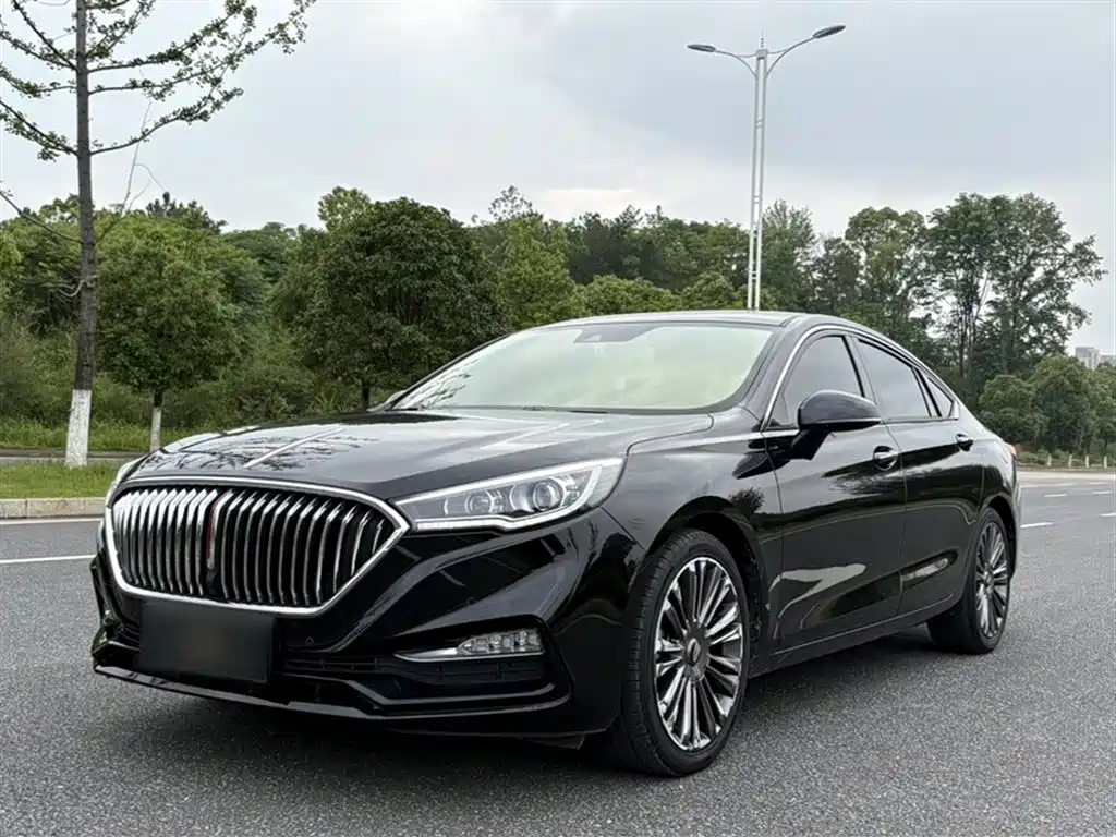 Hongqi Hongqi H5 2020