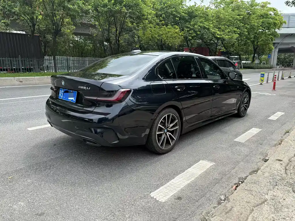 BMW 3 Series 3 2020 325Li