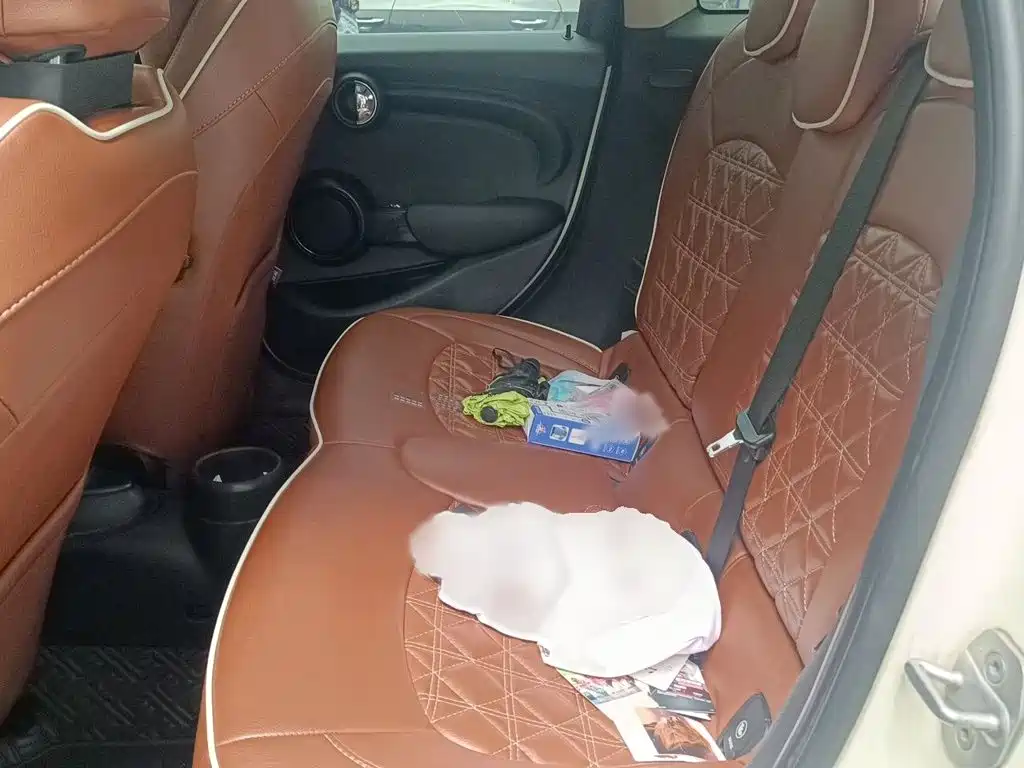 MINI Mini — миниатюра 15