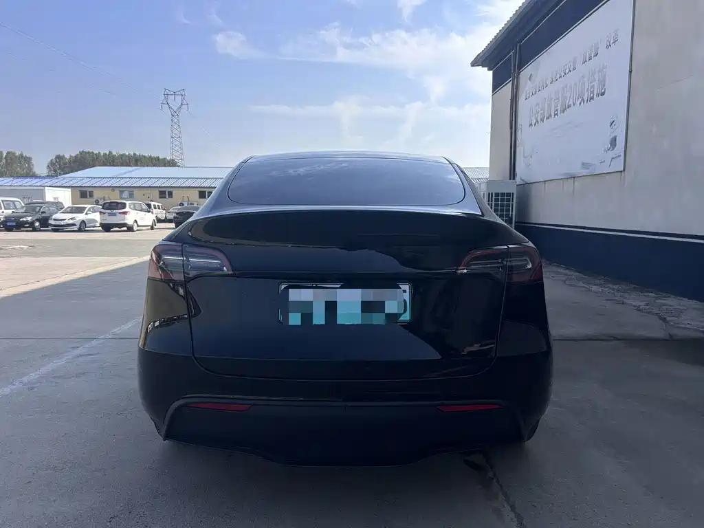 Tesla Model Y — миниатюра 5
