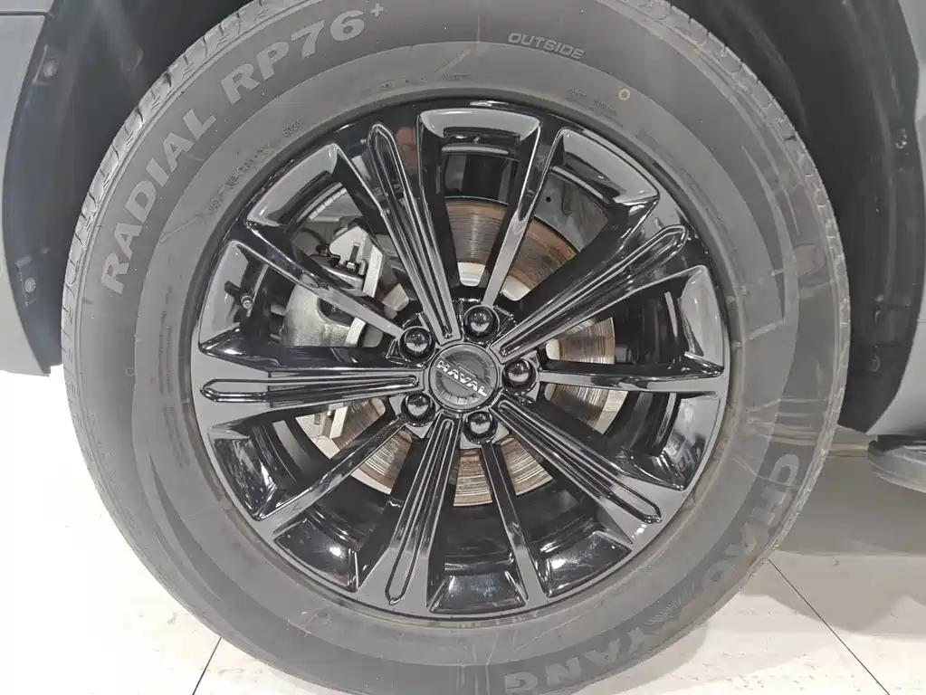 HAVAL RAPTORS NEW ENERGY