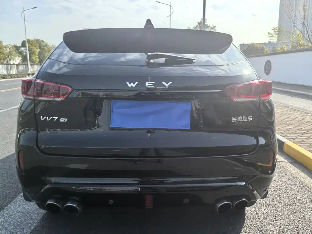 WEI PAI WEI BRAND VV7